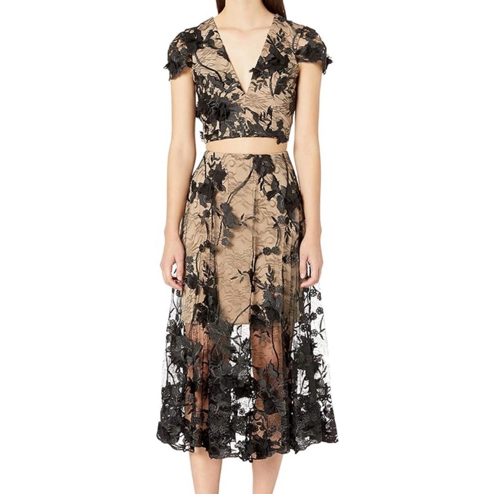 Dress the Population Juliana Lace Crop top and Skirt set